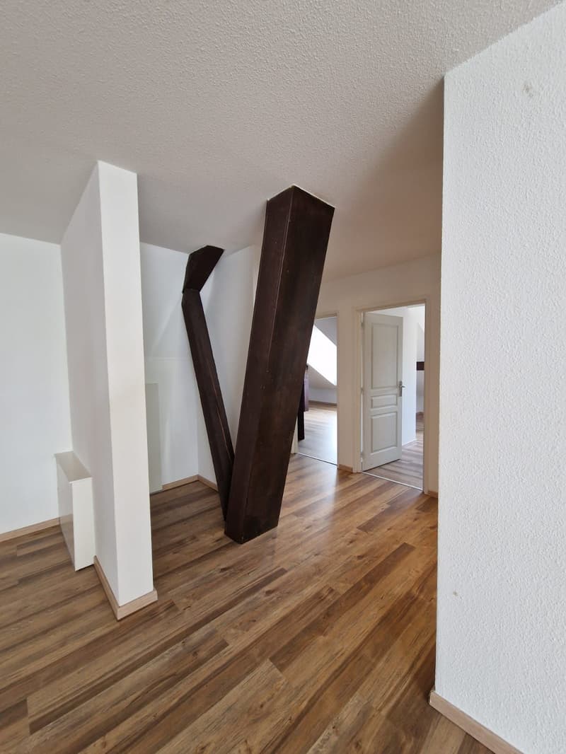Sublime Appartement de 4.5 pièces à louer (13)