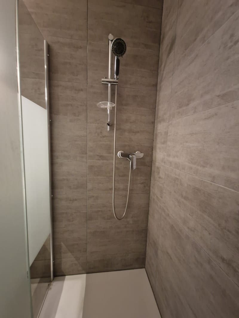Sublime Appartement de 4.5 pièces à louer (6)
