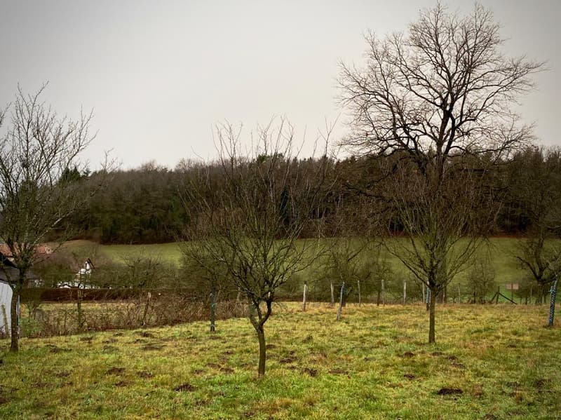 Deux parcelles adjacentes de 2'431 m², dont 860 m² en zone constructible.