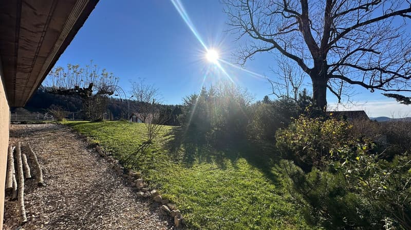 Sunny garden with a view, green lawn, gravel path, and trees