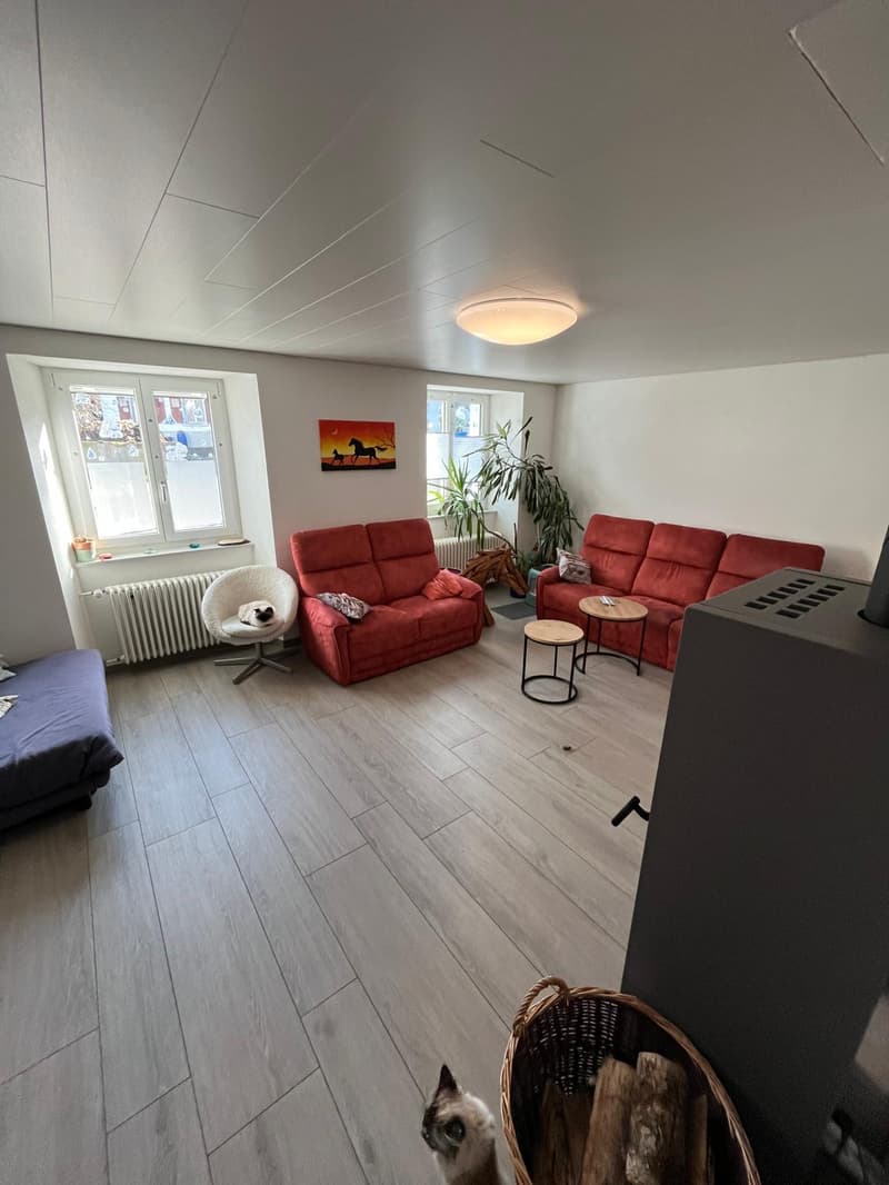 large living room with wooden floor, 2 red couches, white chair, table, radiator, fireplace, windows, plants, picture on the wall