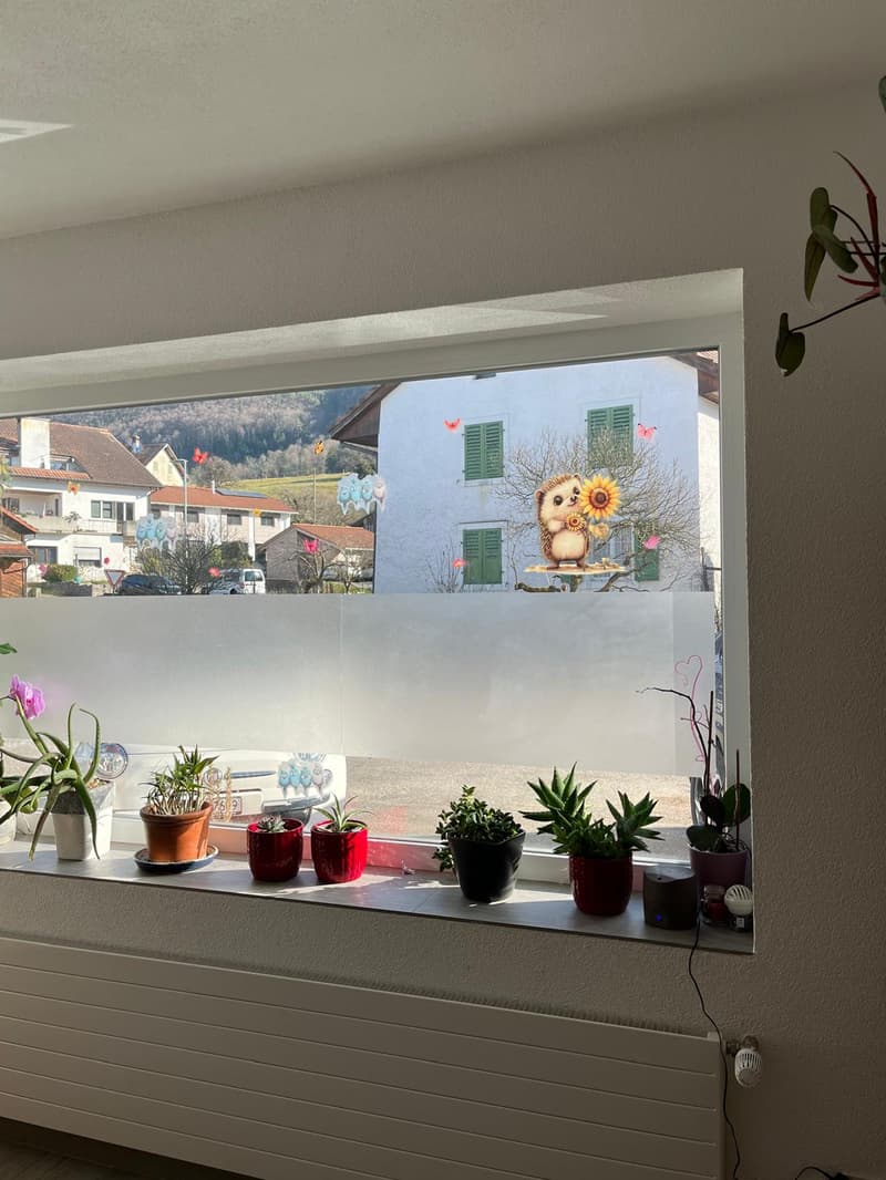 window with city view, white potted plants on sill, radiator, decorations