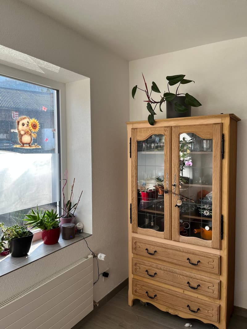 wooden cabinet with glass doors, potted plants, white radiator, glass window with sun design