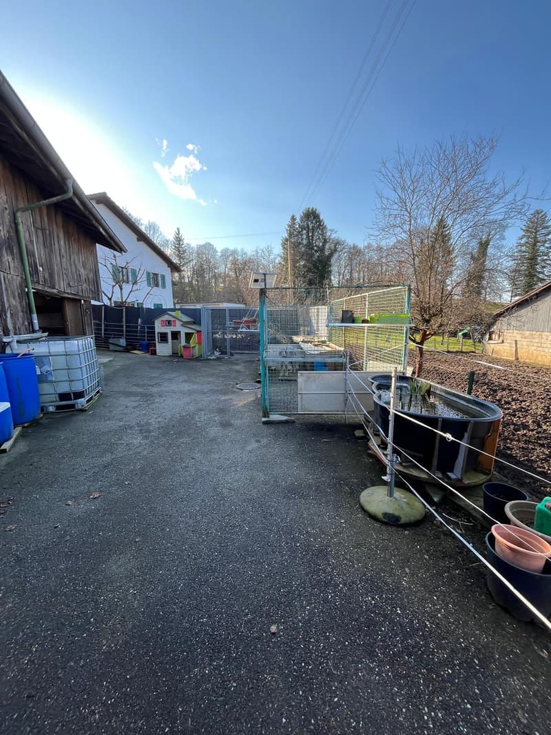 Asphalt pathway, wooden barn, several barrels, wooden doghouse, fences, greenery