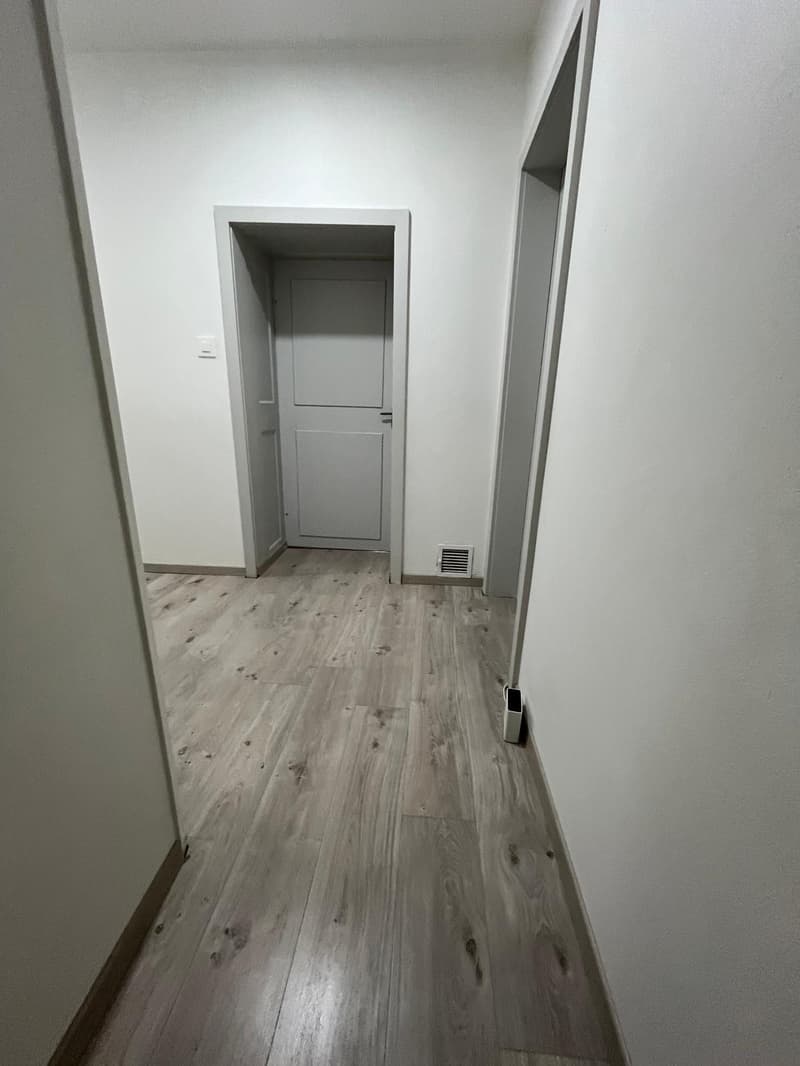 empty hallway, wooden floor, white walls, closed doors