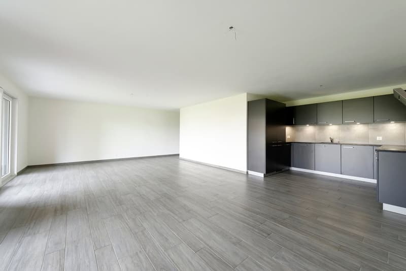 empty room, gray floor, white walls, kitchen area with cabinets and countertop
