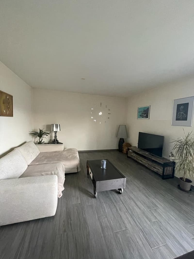 Living room with a couch, coffee table, TV, lamps, and potted plants