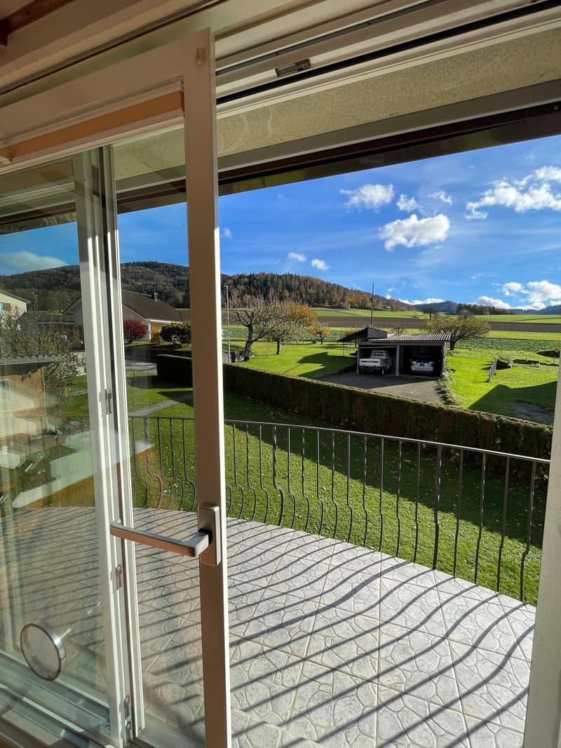 Magnifique maison familiale de 7 pièces à Montsevelier (12)