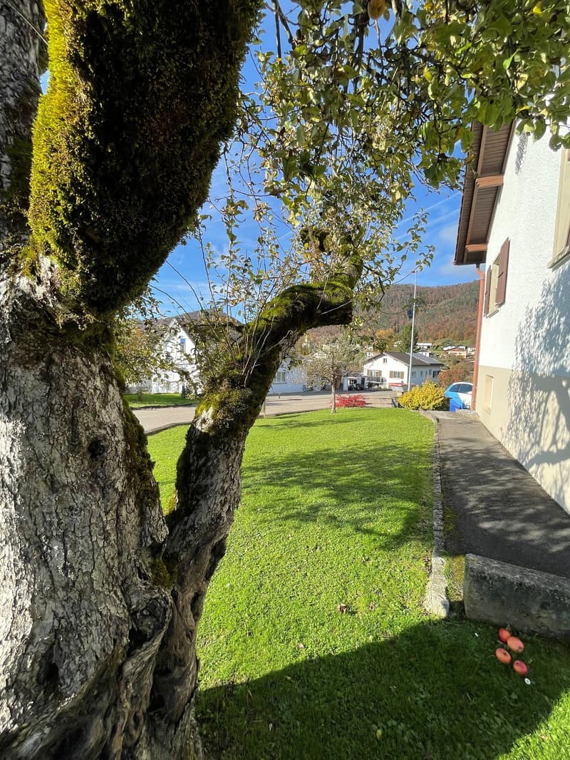 Magnifique maison familiale de 7 pièces à Montsevelier (9)