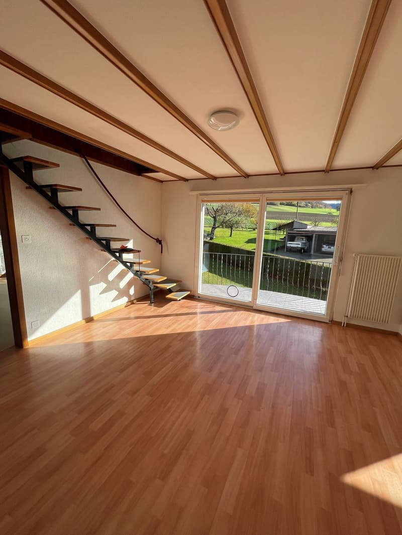 Magnifique maison familiale de 7 pièces à Montsevelier (26)