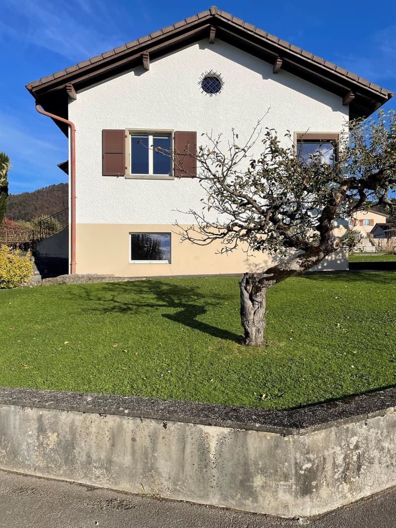 Magnifique maison familiale de 7 pièces à Montsevelier (5)