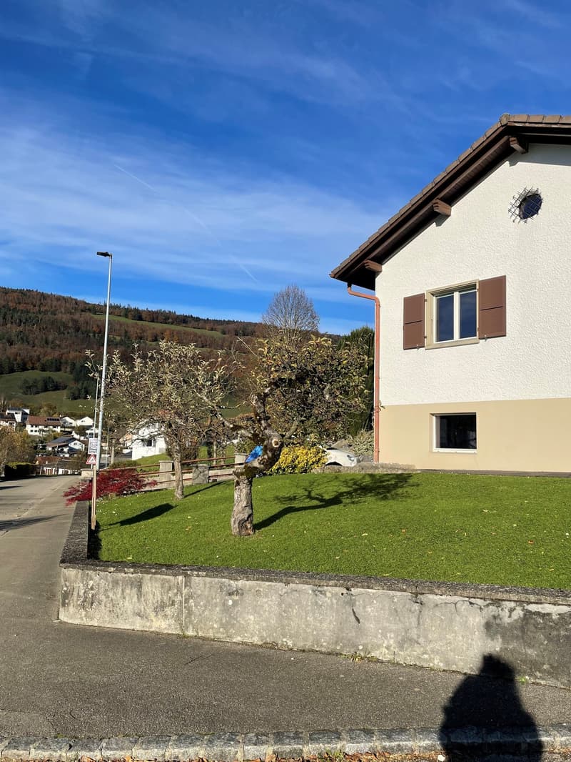 Magnifique maison familiale de 7 pièces à Montsevelier (6)
