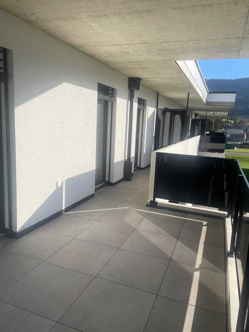 Appartement de haut standing, 4.5 pièces en attique (15)