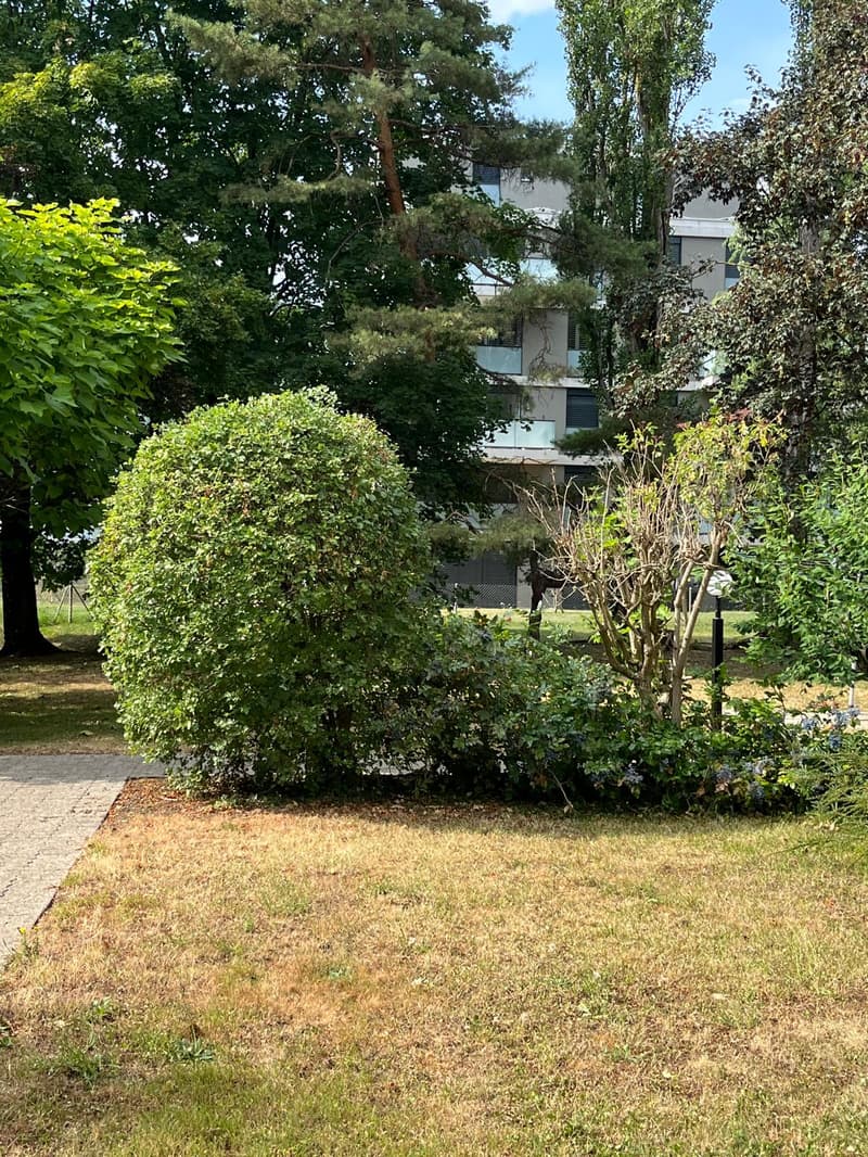 Appartement de 4.5 pièces avec balcon à Delémont – Disponible immédiatement (5)