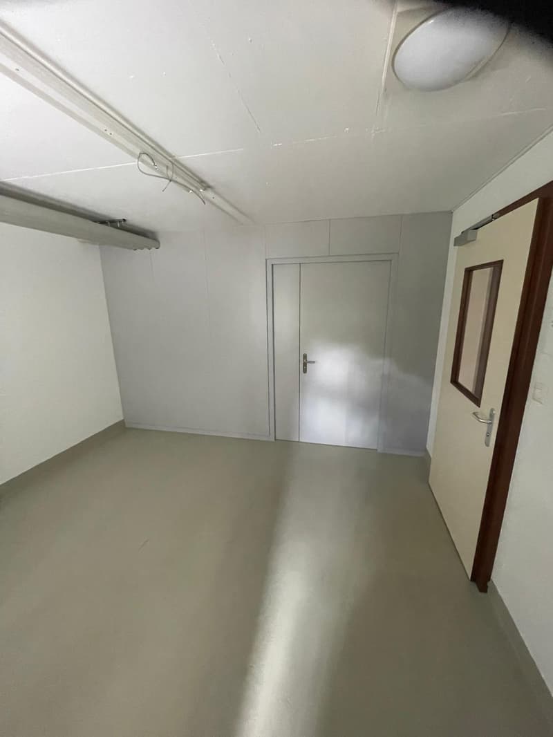 135 m² Espace commercial / Atelier lumineux à louer à Courroux (5)