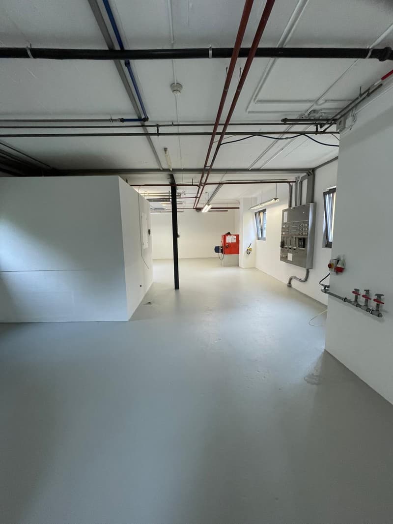 90 m² Espace commercial / Atelier à louer à Courroux (3)