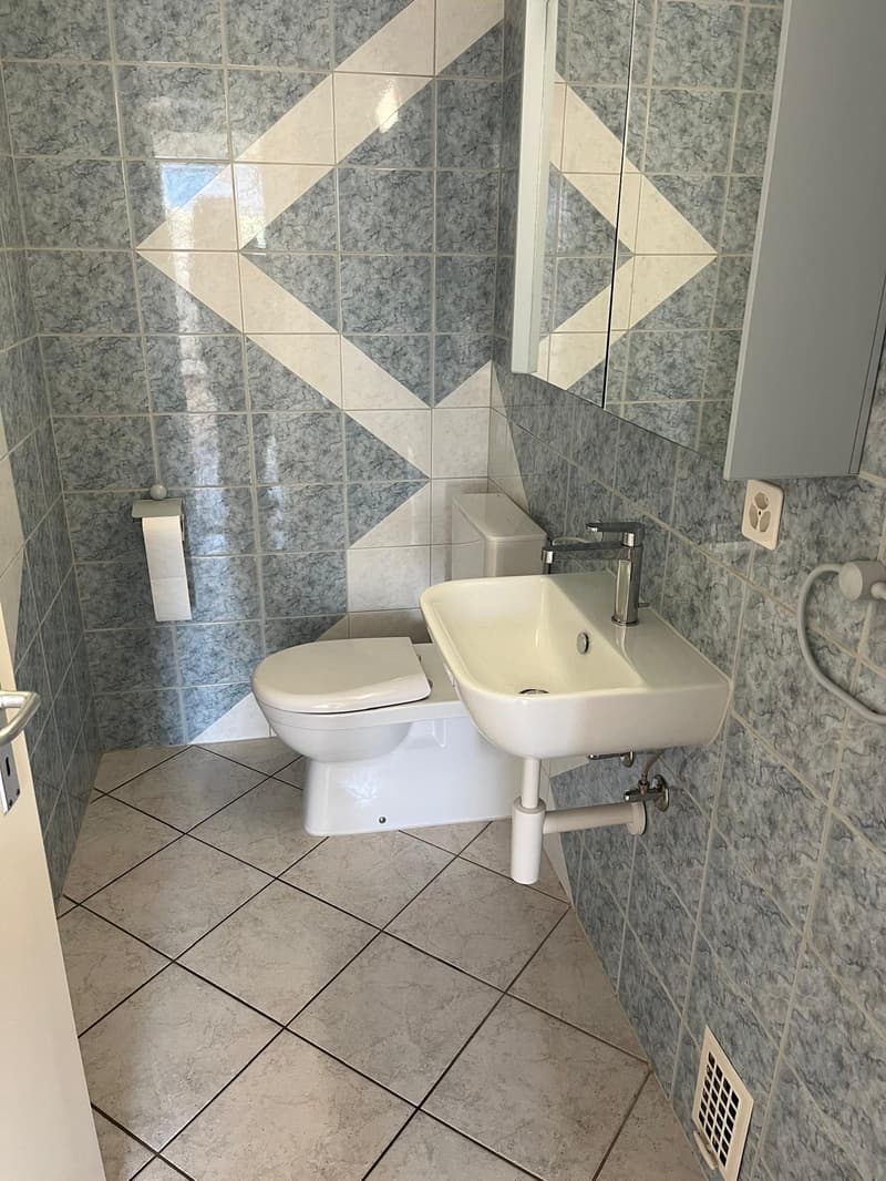 Appartement de 5 pièces à louer à Porrentruy (14)