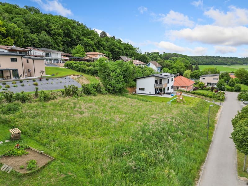 The image shows a residential area with multiple houses and apartments nestled in a lush, green landscape. The buildings have balconies and terraces, and there is a grassy area with a playground visible. The area is surrounded by dense forest and greenery