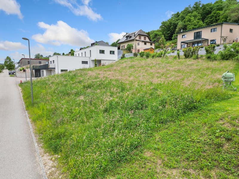 The image shows a residential area with a mix of modern and traditional-style houses built on a hillside. The houses have different architectural styles, with some having raised ground floors. The area is surrounded by lush greenery, including trees and a