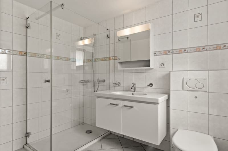 Tiled bathroom with a vanity sink, mirror cabinet, shower enclosure, and toilet
