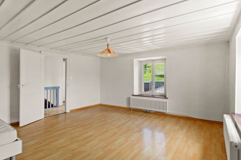 Spacious room with white walls, hardwood flooring, and a large window overlooking the outdoor scenery. The room features a pendant light fixture and a radiator heating system.