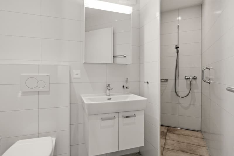 modern white bathroom, sink, toilet, walk-in shower, shower head, light fixture