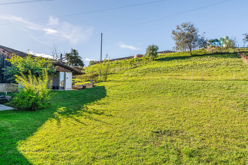 Lush green grassy field, wooden house on left, trees and vegetation, small path in the field