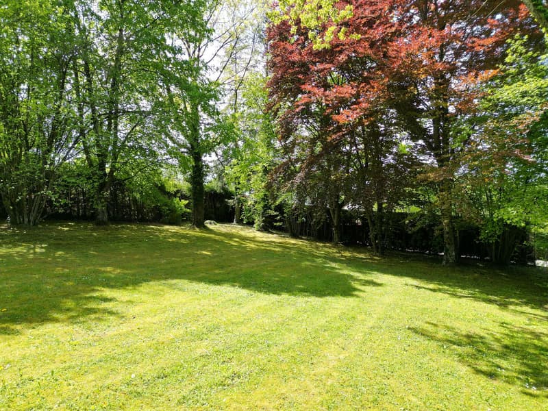 Terrain à bâtir dans un quartier résidentiel de Porrentruy (3)