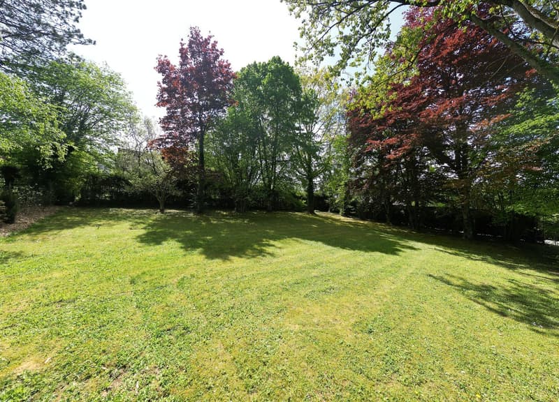 Terrain à bâtir dans un quartier résidentiel de Porrentruy (1)