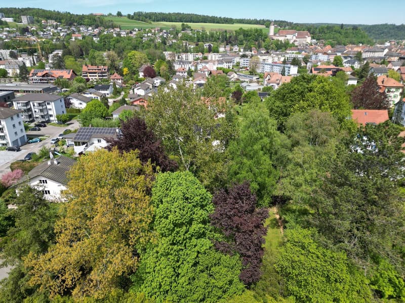 Terrain à bâtir dans un quartier résidentiel de Porrentruy (9)
