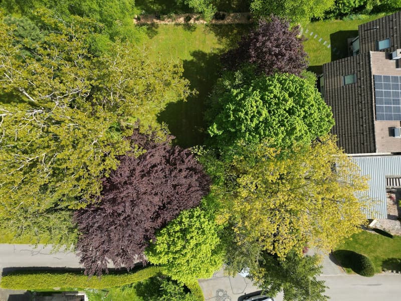 Terrain à bâtir dans un quartier résidentiel de Porrentruy (8)