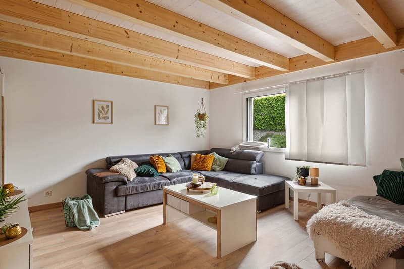 Spacieuse maison individuelle de 6.5 pièces à Courgenay avec espace professionnel indépendant (5)
