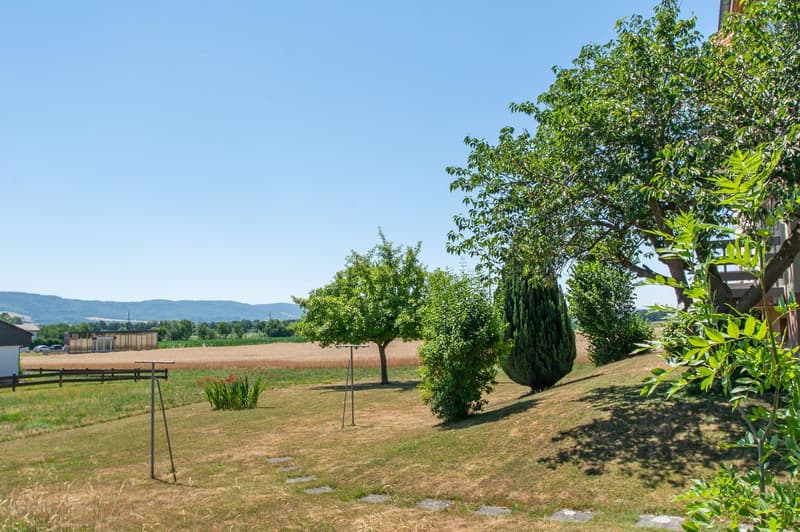Immeuble locatif de 2 appartements à Miécourt (12)