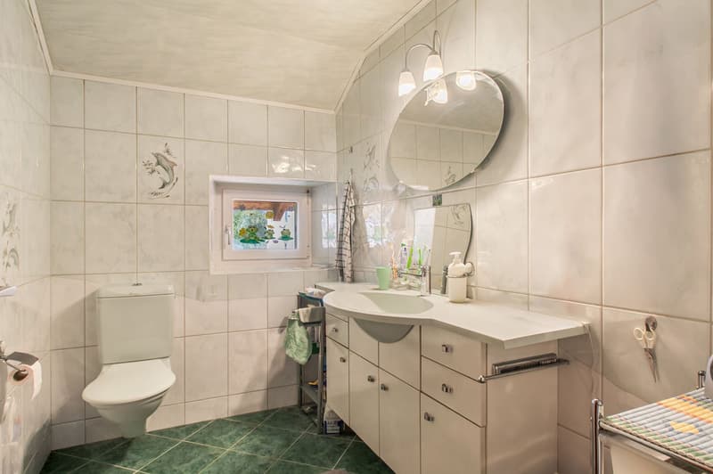 Spacieuse maison individuelle de 10 pièces à Lugnez (11)