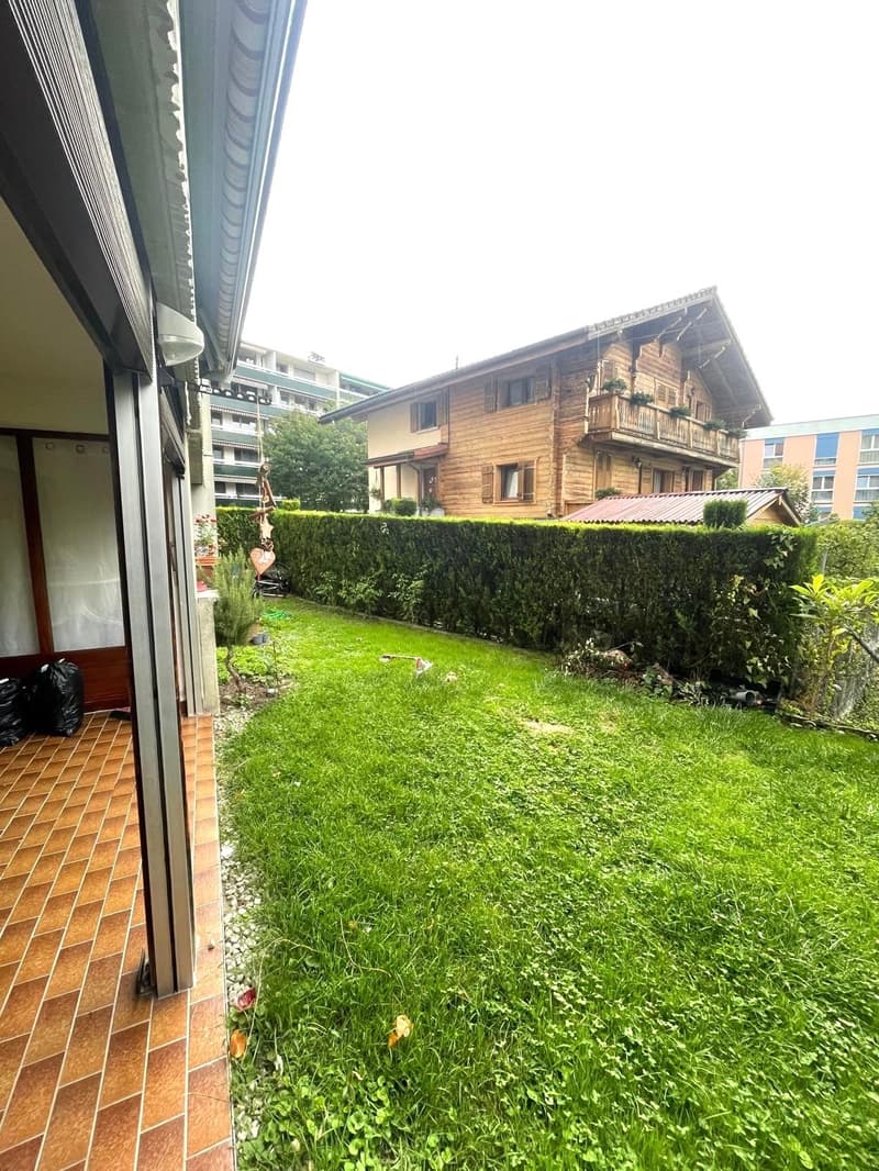 green lawn, hedge, potted plants, flower bed, tile floor, and a wooden house in the background