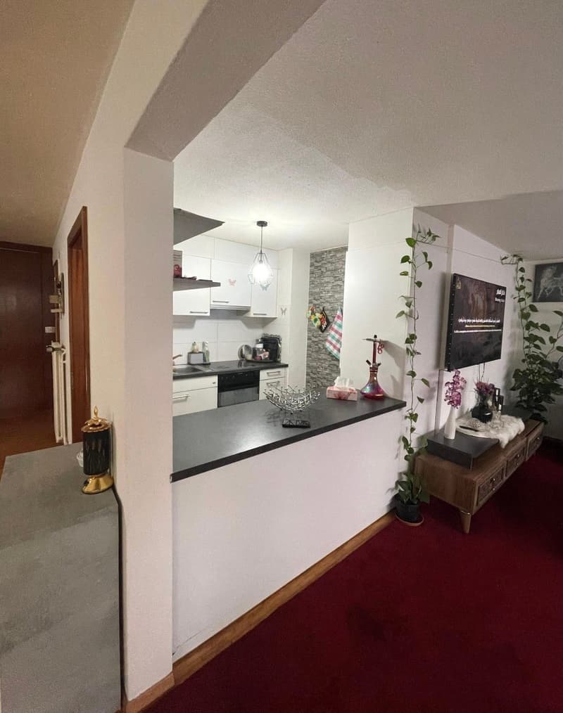Open plan living room and kitchen with modern design, white cabinets, tiled floor, central counter, hanging plants, and a black TV on the wall.