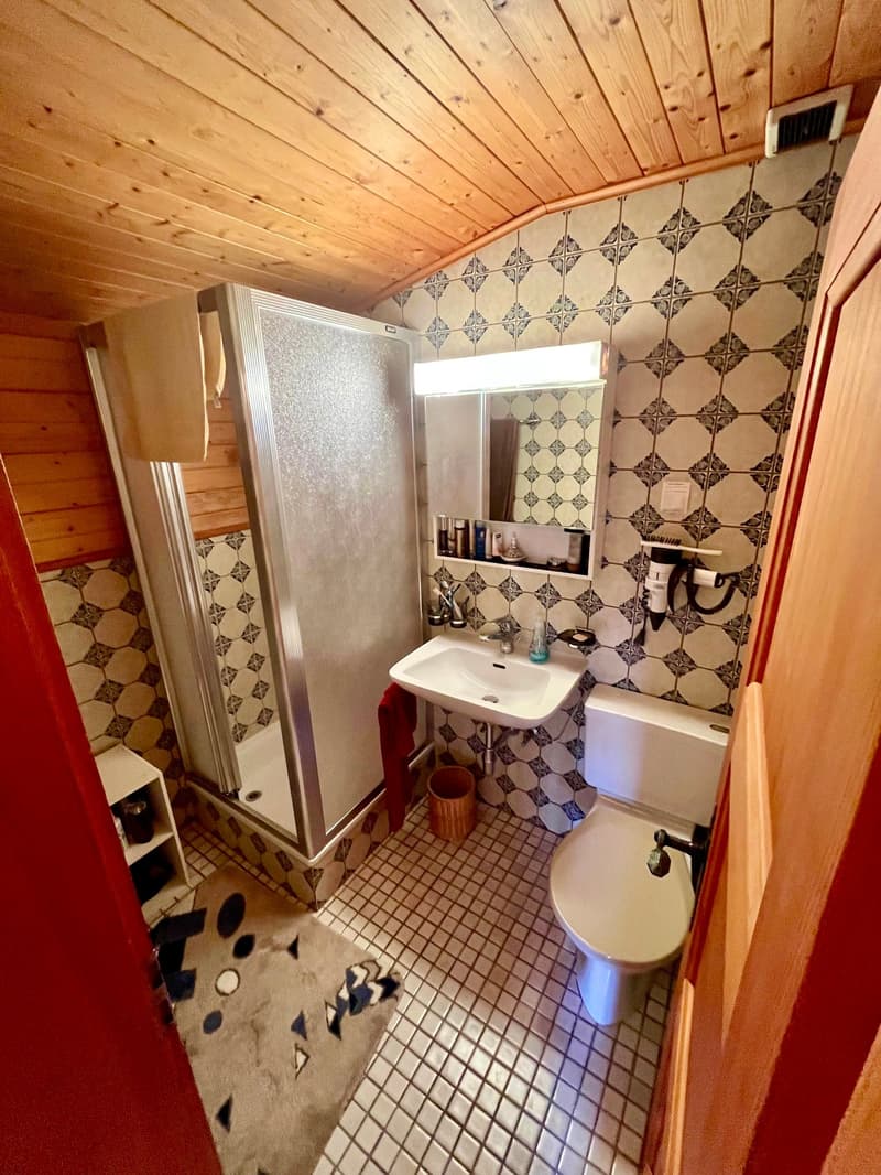 Joli duplex de 4.5 pièces en attique avec place de parc (9)