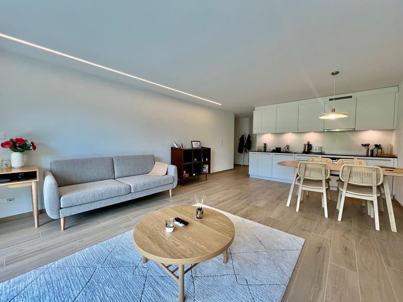 Exclusivité, lumineux appartement neuf au standard minergie au coeur de Lausanne / Vidy 400m du bord de lac (2)