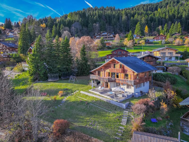 Une opportunité rare à Chesières-Villars : l'alliance parfaite entre style et sérénité (5)