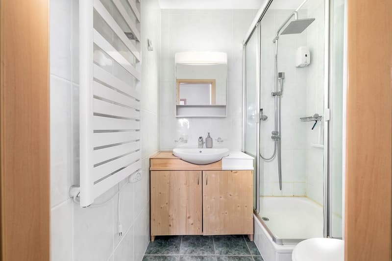 Appartement de 4,5p proche des commodités - Vendu loué (10)