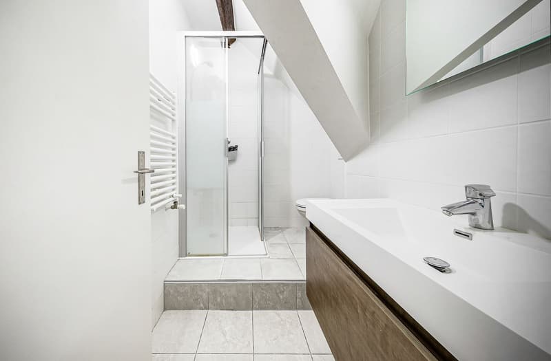 Magnifique duplex proche de toutes les commodités (12)