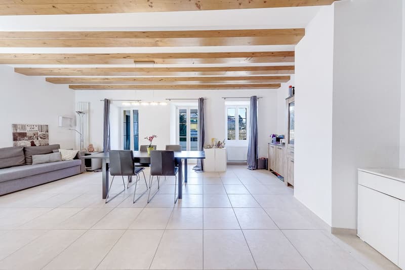 Magnifique duplex proche de toutes les commodités (3)