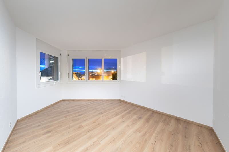 Appartement rénové de 5.5 pièces + studio indépendant (10)