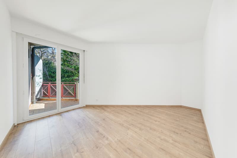 Appartement rénové de 5.5 pièces + studio indépendant (7)