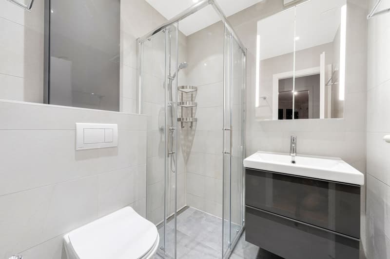Appartement rénové de 5.5 pièces + studio indépendant (11)