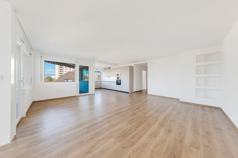 Appartement rénové de 5.5 pièces + studio indépendant (4)