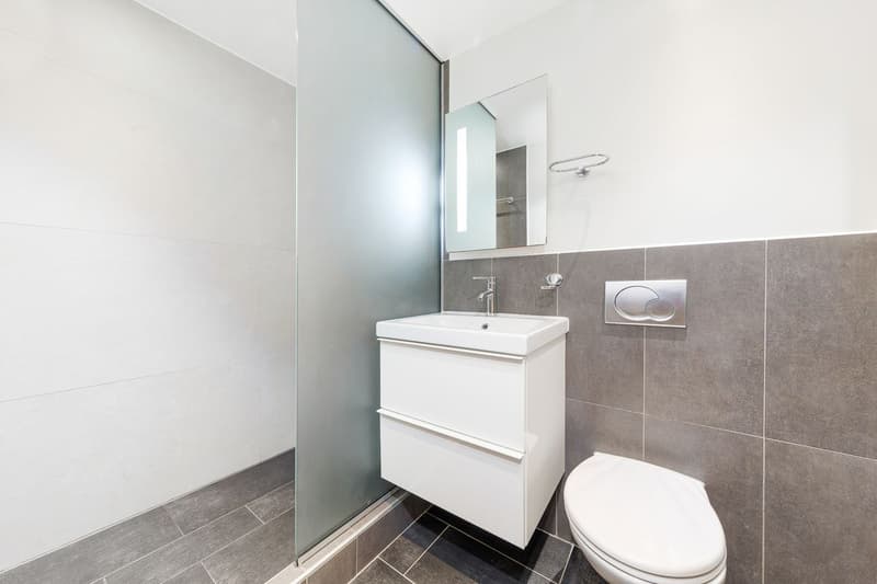 Appartement rénové de 5.5 pièces + studio indépendant (13)