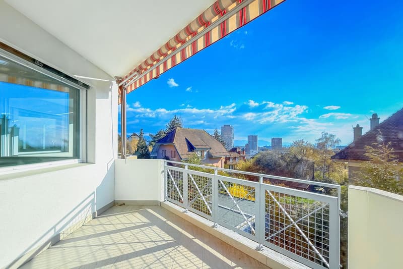 Appartement rénové de 5.5 pièces + studio indépendant (9)