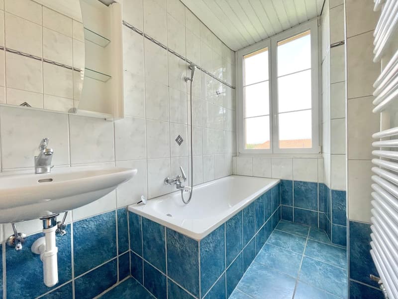 Spacieuse maison individuelle avec cachet (10)