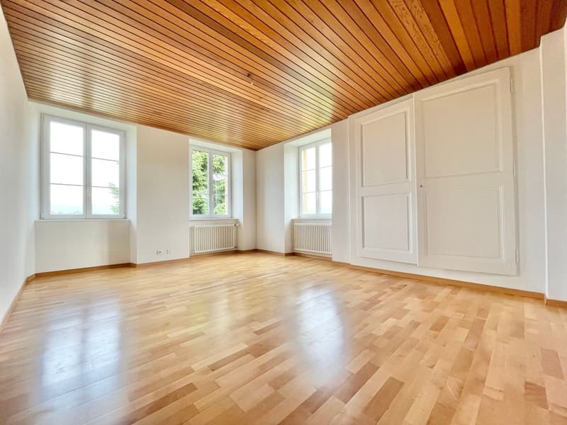 Spacieuse maison individuelle avec cachet (7)